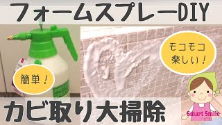 お風呂丸ごと簡単カビ取り大掃除！泡スプレーDIYに挑戦【高圧洗浄機】【DAISO園芸用噴霧器】