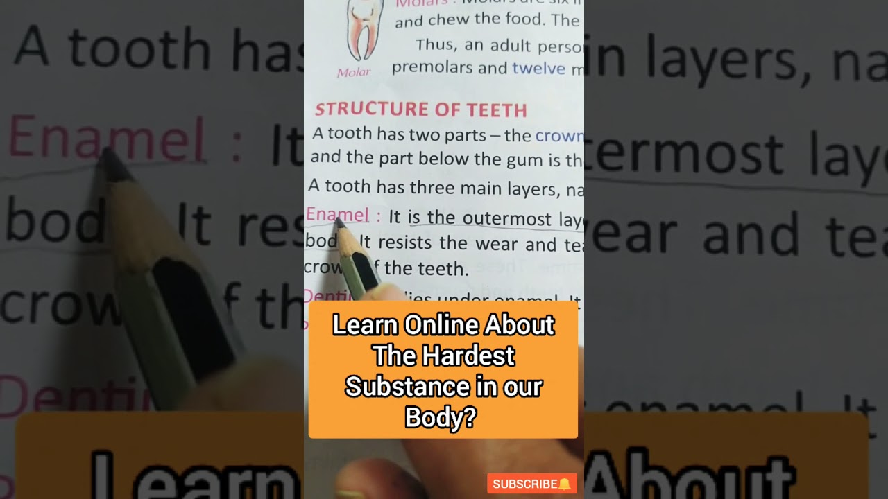 The Hardest Substance In Our Body। Online Science Class। Shorts