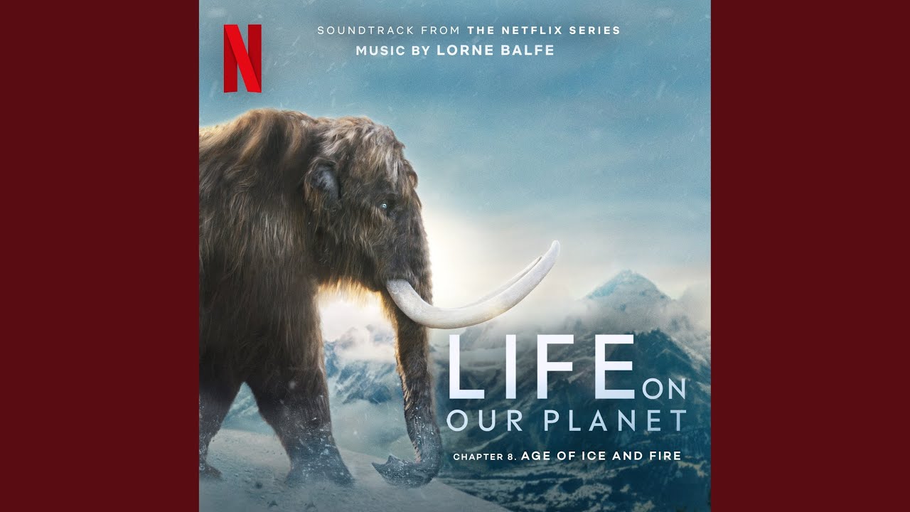 Watch The Fallen on YouTube Watch The Fallen on YouTube