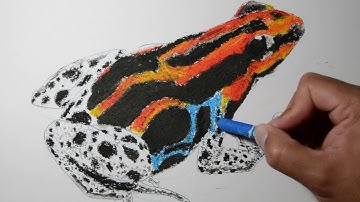 Speed Drawing/Painting: Poison Dart Frog Oil Pastel and Acrylic