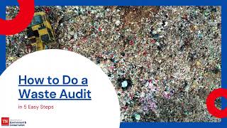 How to Do a Waste Audit in 5 Easy Steps