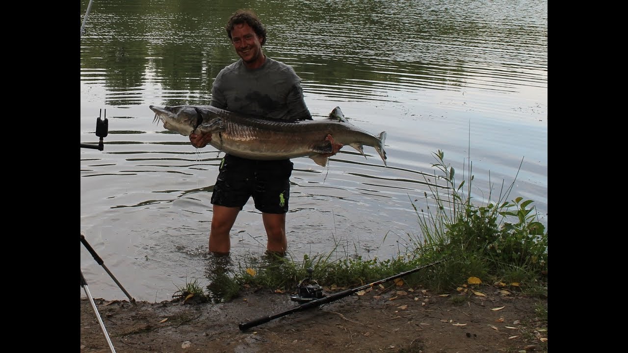 #4 Angeln auf Stör mit Nobbi am See der Giganten - Teil 2