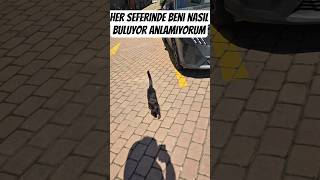 En Gelişmiş Radar Sistemi "Kuroneko"