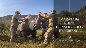 The Marataba Rhino Conservation Experience