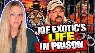 Joe Exotic: What REALLY Happened to the Tiger King 🐅 His Life Behind Bars!