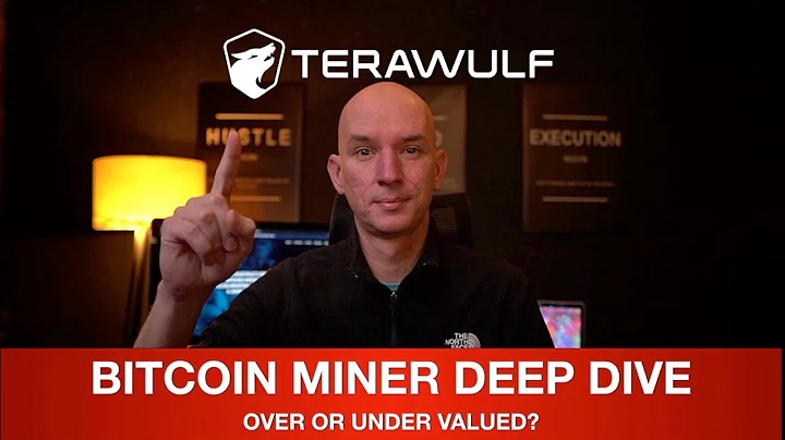 TERAWULF BITCOIN MINER - DEEP DIVE! OVERVIEW, PERF...