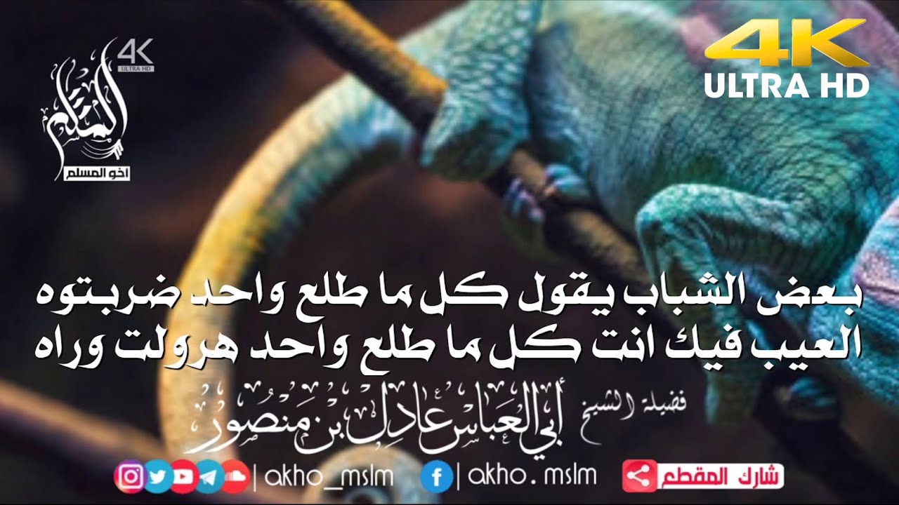 بعض الشباب يقول كل ما طلع واحد ضربتوه، العيب فيك انت كل ما طلع واحد هرولت وراه - الشيخ عادل بن منصور