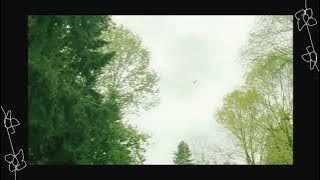 Porter Robinson - Mother (Kazukii Cover)