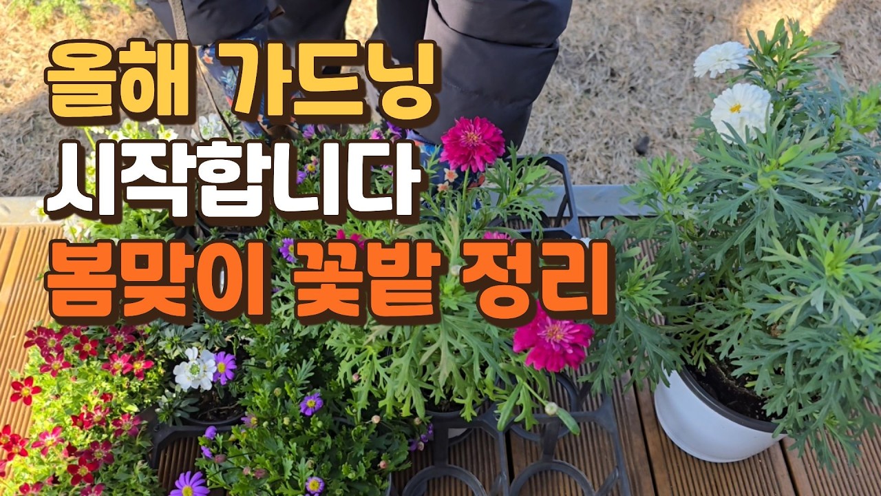 올해 가드닝 시작합니다 | 봄맞이 꽃밭 정리 1편