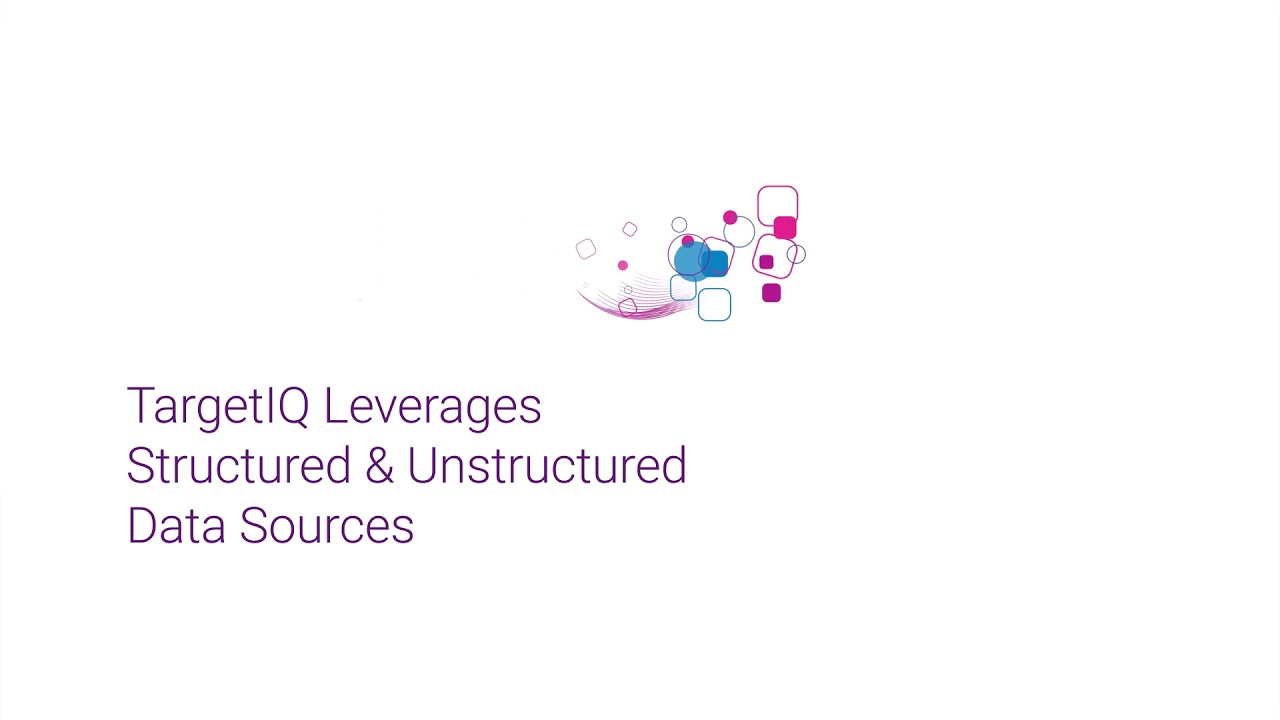 TargetIQ - A B2B Sales and Marketing Intelligence Platform