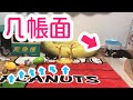 おもちゃを並べる猫ラッキー　Cat lucky lining up toys