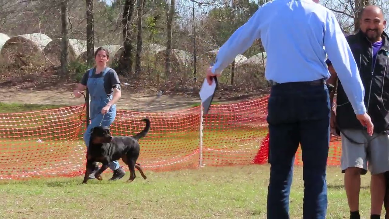 2026-March-01 - Placements - Champion Females