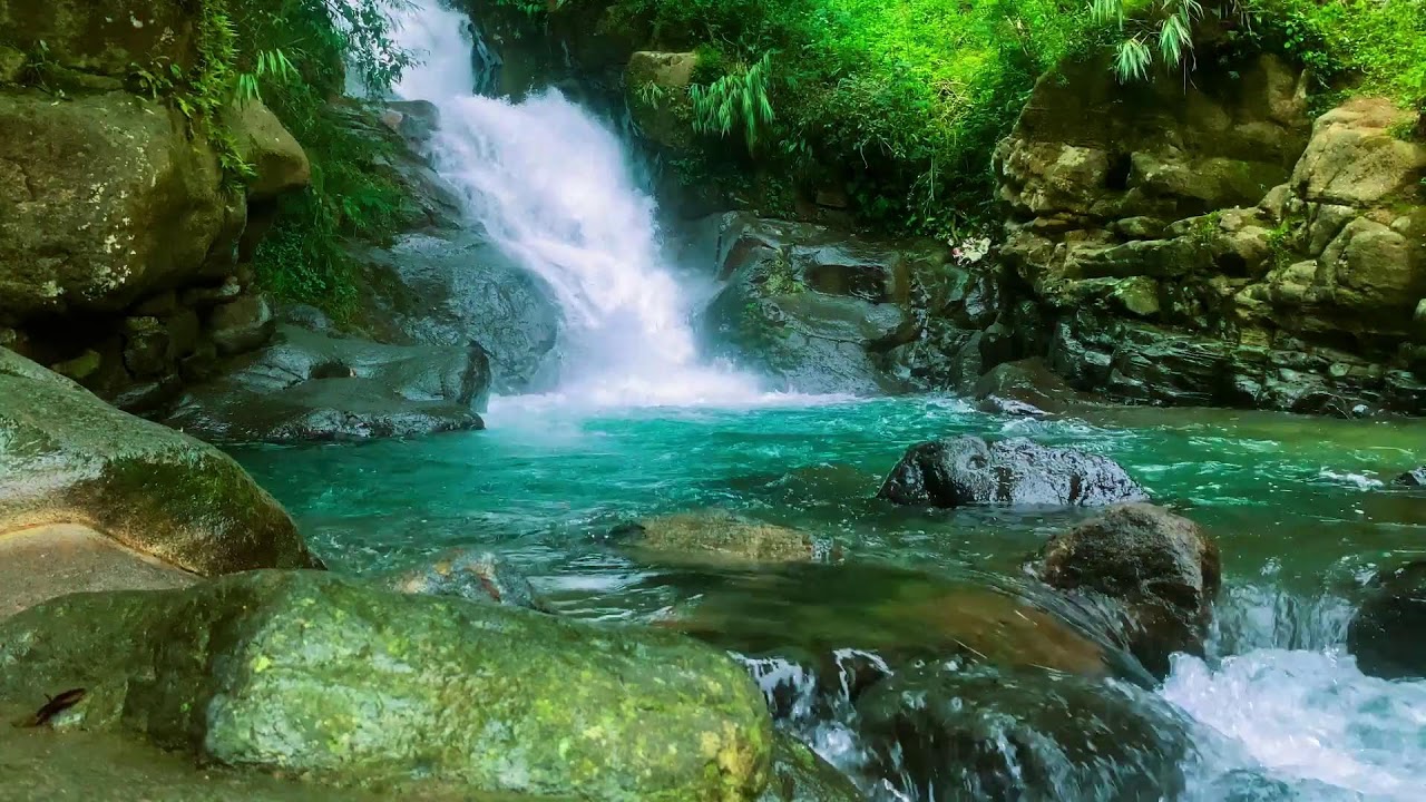 ТЫ УСНЕШЬ ЗА 3 МИНУТЫ 💦 Мощная река в сердце тропического леса — Глубокий сон ASMR