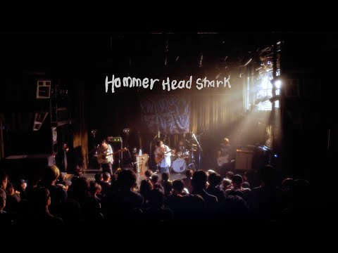 Hammer Head Shark - YouTube