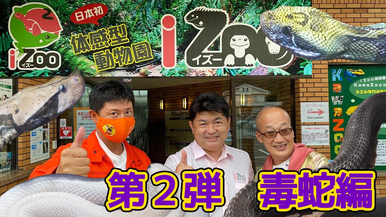 【体感型動物園iZooに潜入！】第２弾〜毒蛇編〜