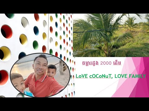 Ready go to ... https://www.youtube.com/watch?v=aLD8cBx1iKMu0026t=4s [ Happy and Love coconut tree 2000 ll áá¸ááá¶ááá·ááááá¡á¶áááá¼á á¢á á á â áá¾á]