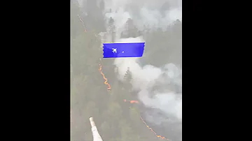 Куда сообщить о пожаре в лесу