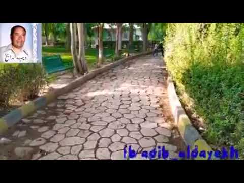 أديب الدايخ لي خ ل ة ياخلق ساعة الشد ات باعوني