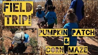 Teacher tips- Field trip to the pumpkin patch