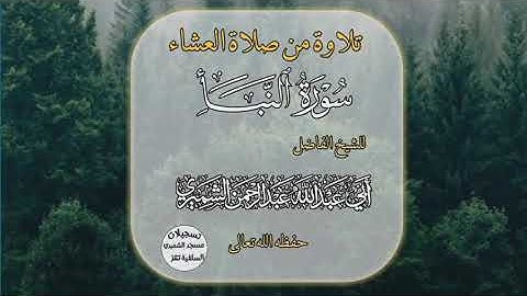 تلاوة خاشعة للشيخ أبي عبد الله عبد الرحمن الشميري حفظه الله تعالى سورة النبأ