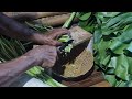 ULTRA SHARP SIMPLE TOOL CUTTING WATER HYACINTH LIKE BUTTER!-agriculture farming