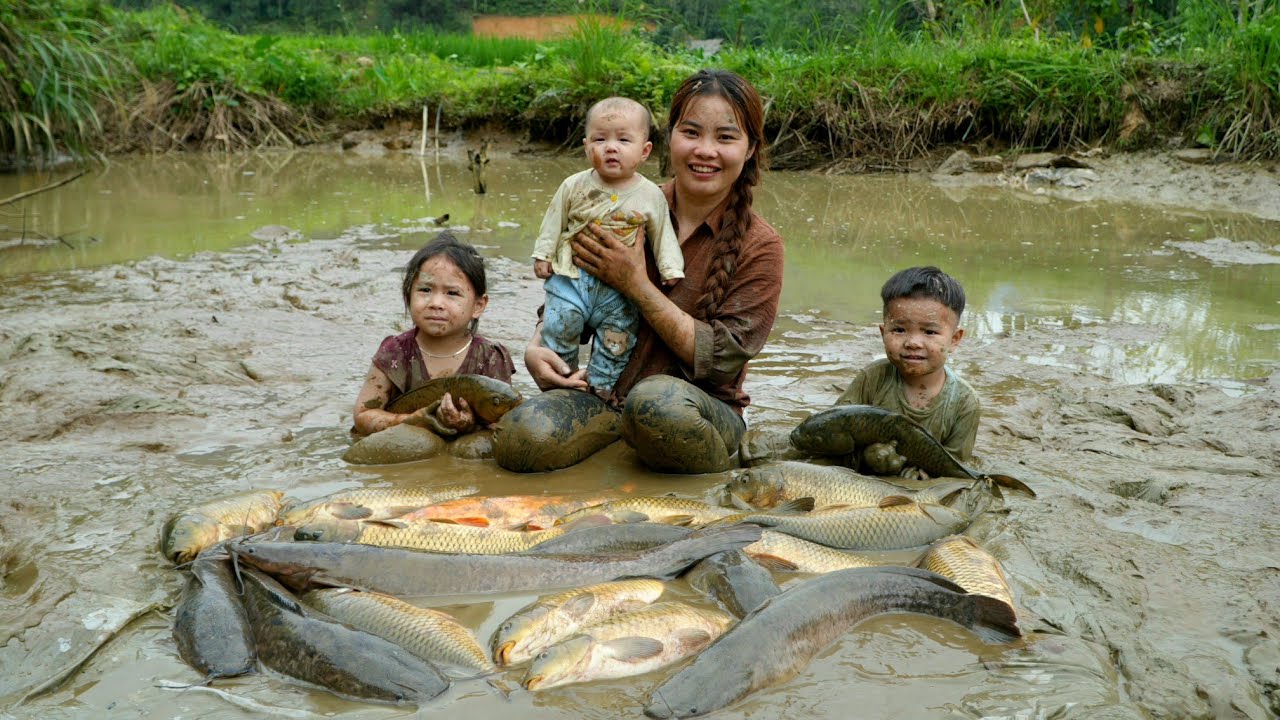 How to catch giant fish in mud puddles to sell - Cooking meat porridge ...