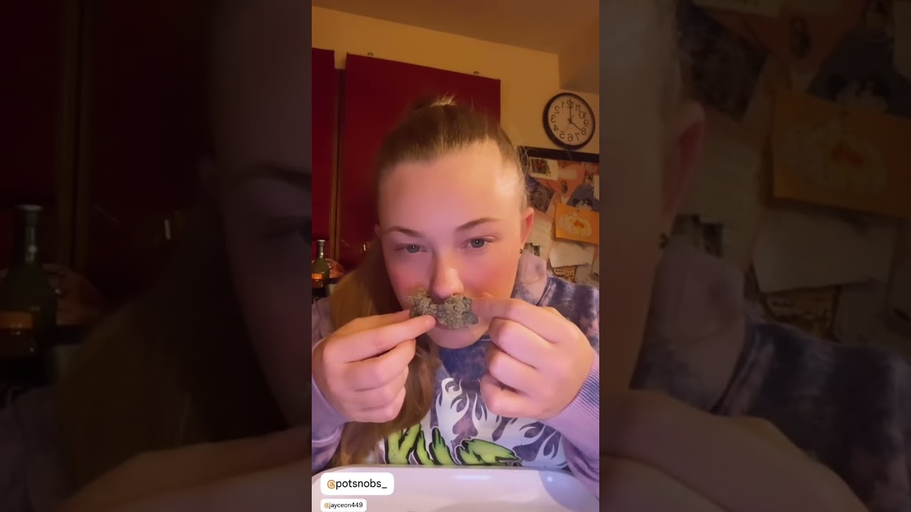 PLCG x GMO #5 - Pot Snobs