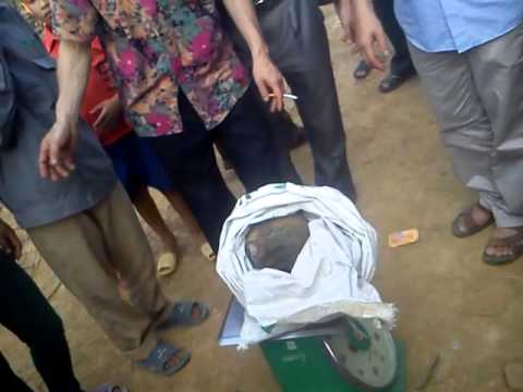 Video Dân làm nhà đào cuốc vườn được 27kg tiền cổ nhà bảo... - youtube