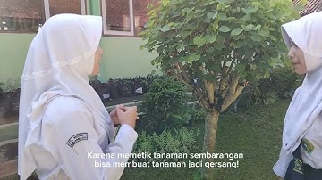 Tugas Informatika Vlog "Cintai Lingkungan Sekolah"