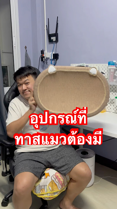 ของดีม่อนแนะนำ https://vt.tiktok.com/ZSBDP3ktj/   #เหมียวม่อน #cat #แมวน่ารัก #เลม่อน #pets #ทาสแมว