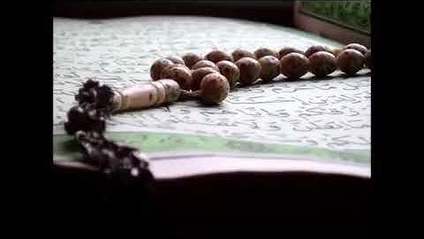 سورة فصلت / توفيق الصائغ