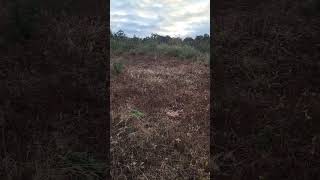 1 Acre Agricultural Land for sale in Machakos Kaloleni, 0.5 miles toTarmac@900k-0725884003#shorts