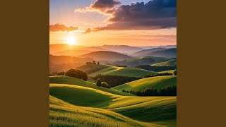 Stecu Stecu Kane remastered 2025