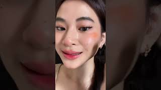 Pinkflash Longlasting Waterproof Naturally Pigmented Matte Shimmer Face Makeup Blush