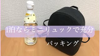 【パッキング】ミニバッグの中身は1泊分の身軽さ重視の荷物です/ミニマリスト思考