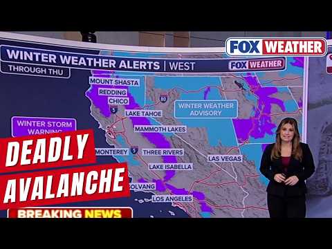 Eight Skiers Found Dead, One Still Missing After Powerful Avalanche In California