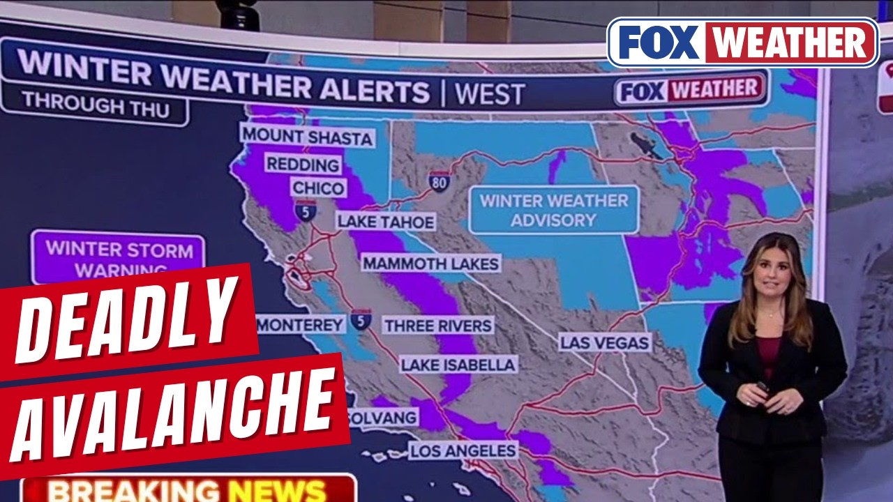 Eight Skiers Found Dead, One Still Missing After Powerful Avalanche In California