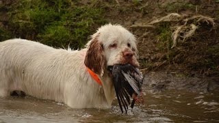 Introduction to Field Training by Jennifer Darcy 427 views 7 years ago 7 minutes, 46 seconds