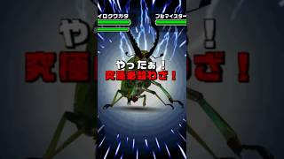 パプアキンイロクワガタの究極必殺技 : スーパーエアロキャプチャー