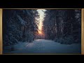 VİNTAGE WİNTER FOREST WALLPAPER FRAME (1 HOUR TV WALLPAPER)