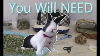 10 Things You Will NEED When You Bring Home a BUNNY