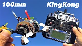 KINGKONG FLY EGG 100 100mm Mini FPV Racing Drone Flysky BNF