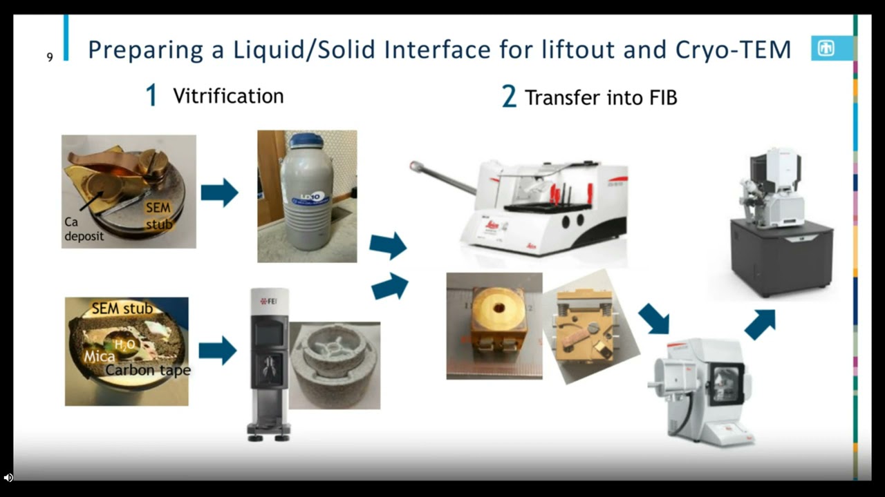 Cryogenic Electron Microscopy of Beam and Air-Sensitive Materials
