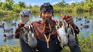 I Caught 5 Wild Ducks | white wing With my 15000  Dollars Slingshot!