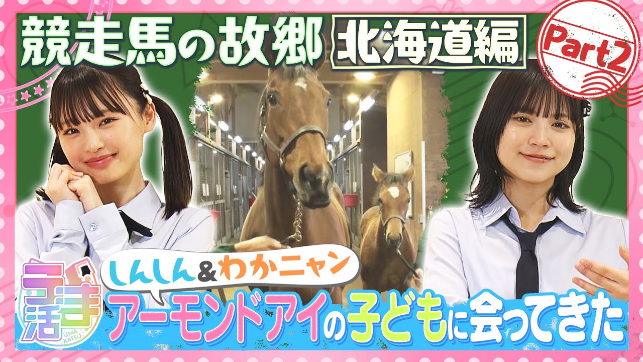 【うま活】しんしん＆わかにゃん　アーモンドアイの子どもに会ってきた！【名場面・GW特別配信(2024年5月取材）】