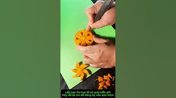Cách Tỉa Hoa cà rốt chẻ cánh dễ dàng hãy tham gia lớp học tỉa miễn phí để bạn tỉa được nhé #shorts