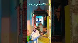 Jay Jagannath 🙇🏻‍♀️#jagannath #puri #dham#love