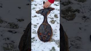 My Dog Rocky Loves Eating Grilled Fish.