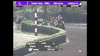 Vidéo de la course PMU PREMIO LADY FOX