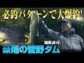 加藤誠司がアフタースポーン期の菅野ダムを攻略!必釣パターンで大爆釣! 2/2 『LURE FREAK 87』<フルver>【釣りビジョン】